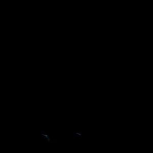 Meet your Posher, Norma